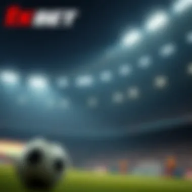 Magnificent 1xbet Lite: 이해와 활용