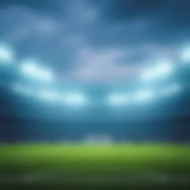 Magnificent 밴쿠버 화이트캡스 FC: 개요와 역사, 현재 그리고 전망