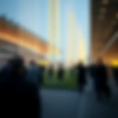 Magnificent 바카라 커뮤니티의 모든 것