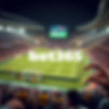 Magnificent bet365 가상 축구의 모든 것 Magnificent bet365 가상 축구의 모든 것