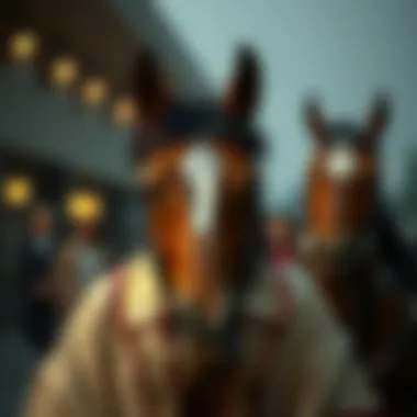 Magnificent 카지노의 의미와 그 영향 Magnificent 카지노의 의미와 그 영향