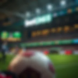 bet365 베팅의 모든 것 Introduction